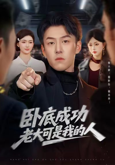 《猫与旧书店》海报
